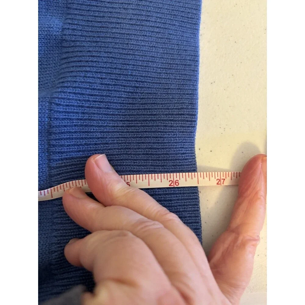 Banana Republic Mens Large Extra Fine Merino‎ Wool Blend V-Neck Sweater Blue